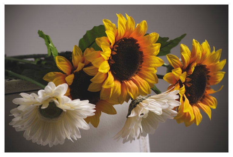 160312-stormi-canaan-arakarei-04