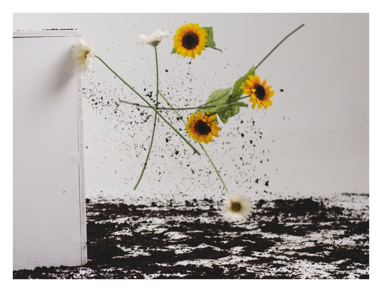 160312-stormi-canaan-arakarei-08