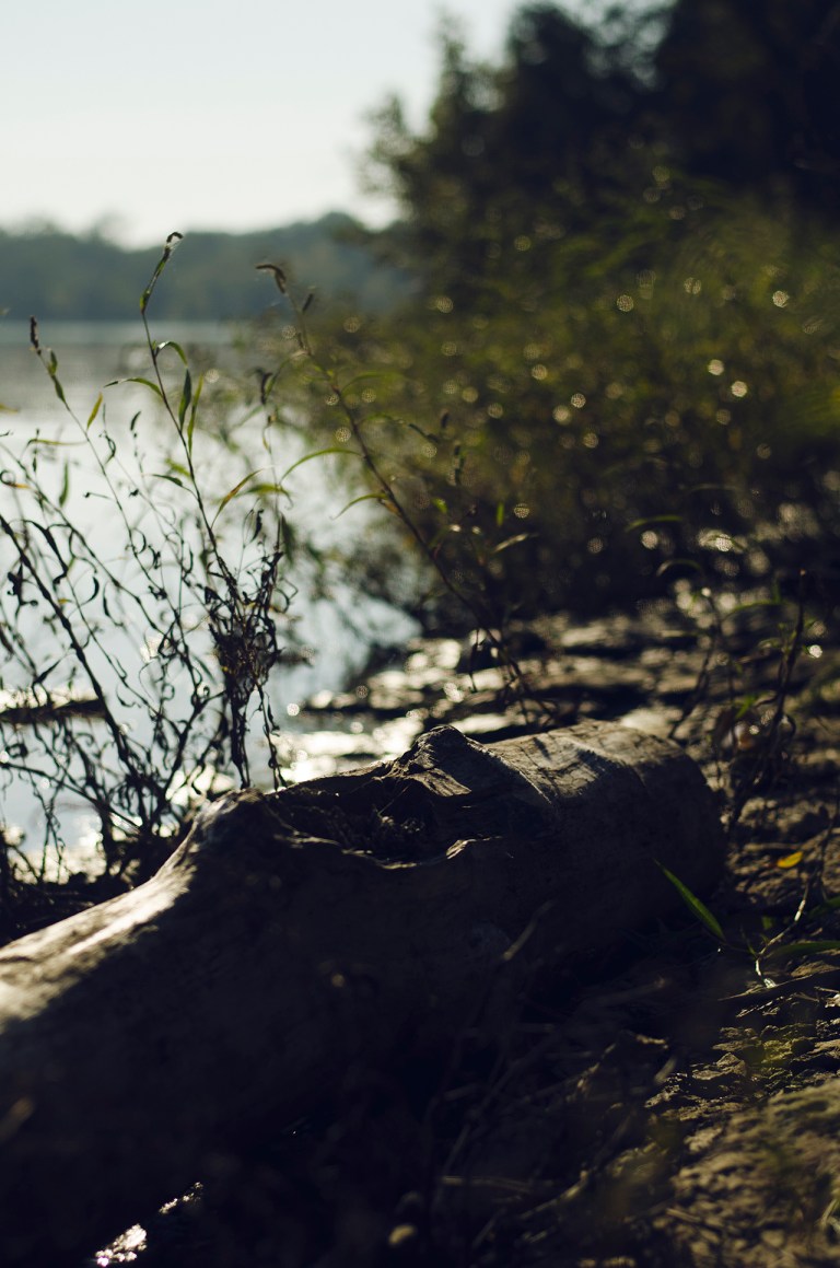 160924-cydnie-arakarei-110